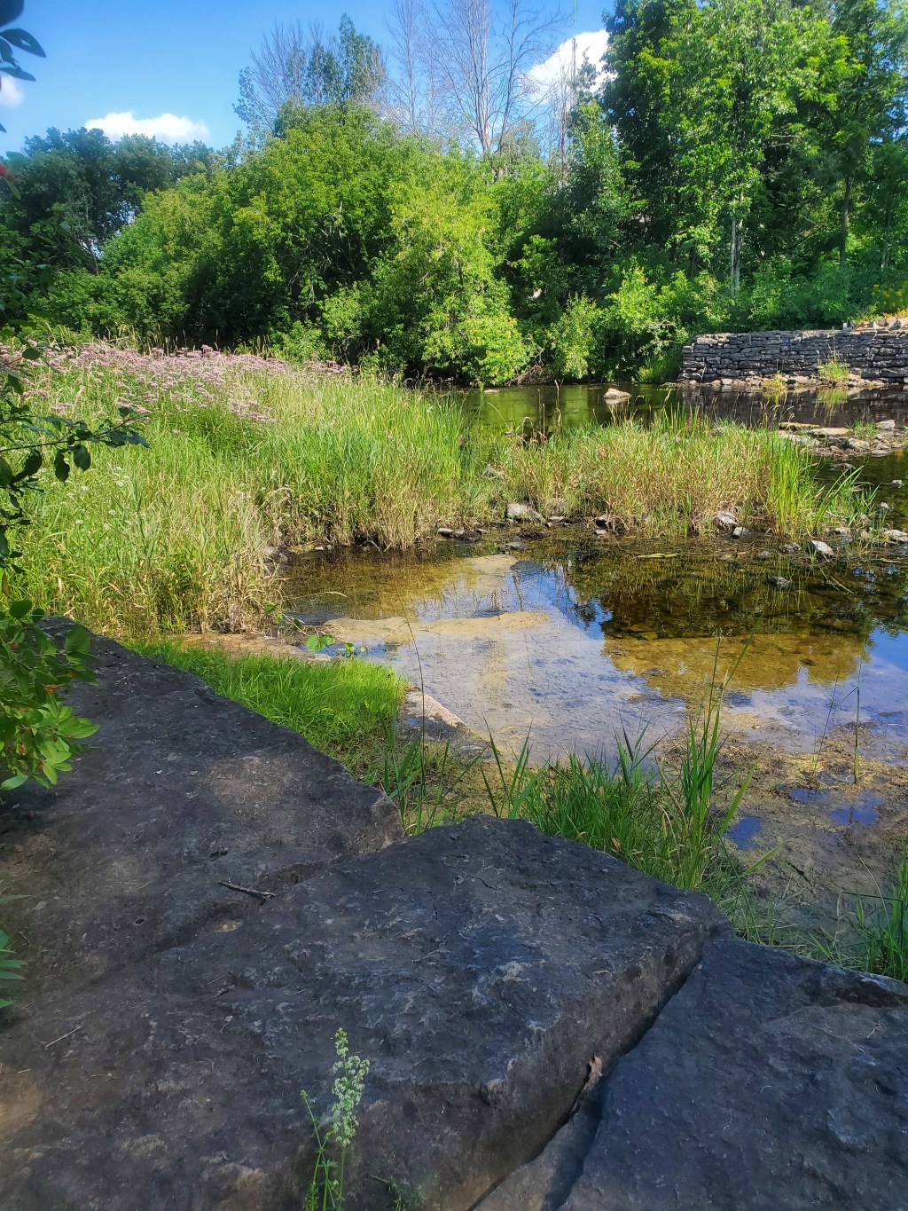 Summer Feelings and Random&nbsp;Thoughts