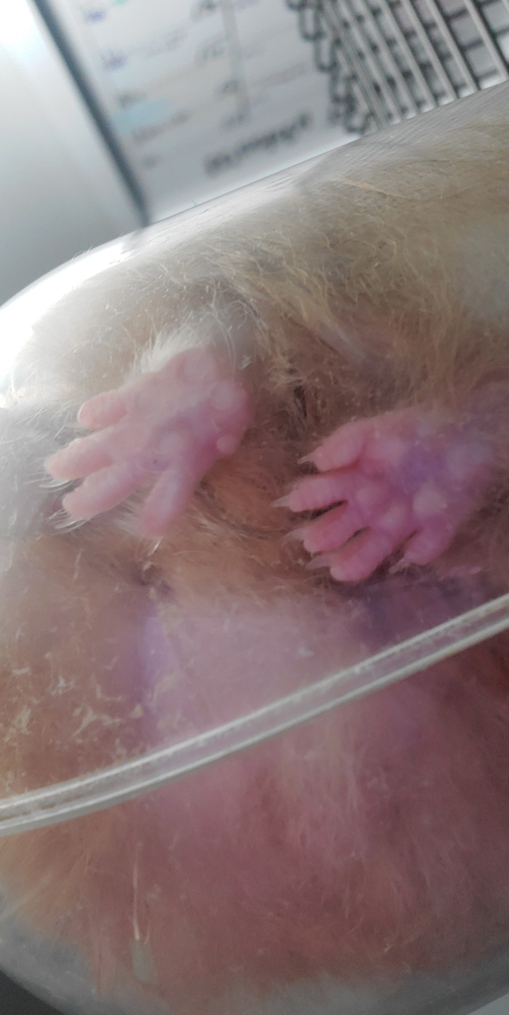 Writing and Happy&nbsp;Realizations.