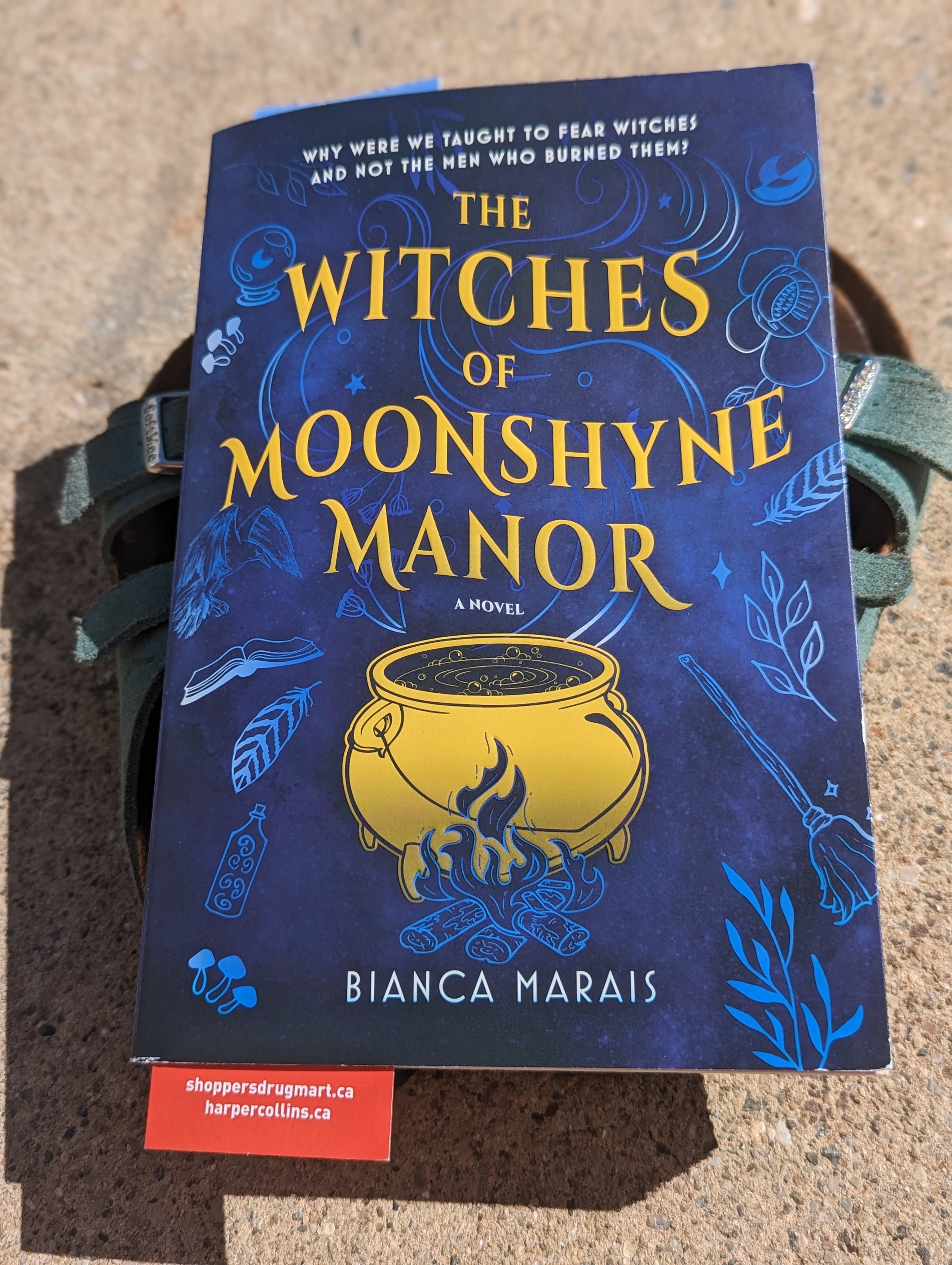 The Witches of Moonshyne Manor: A Review