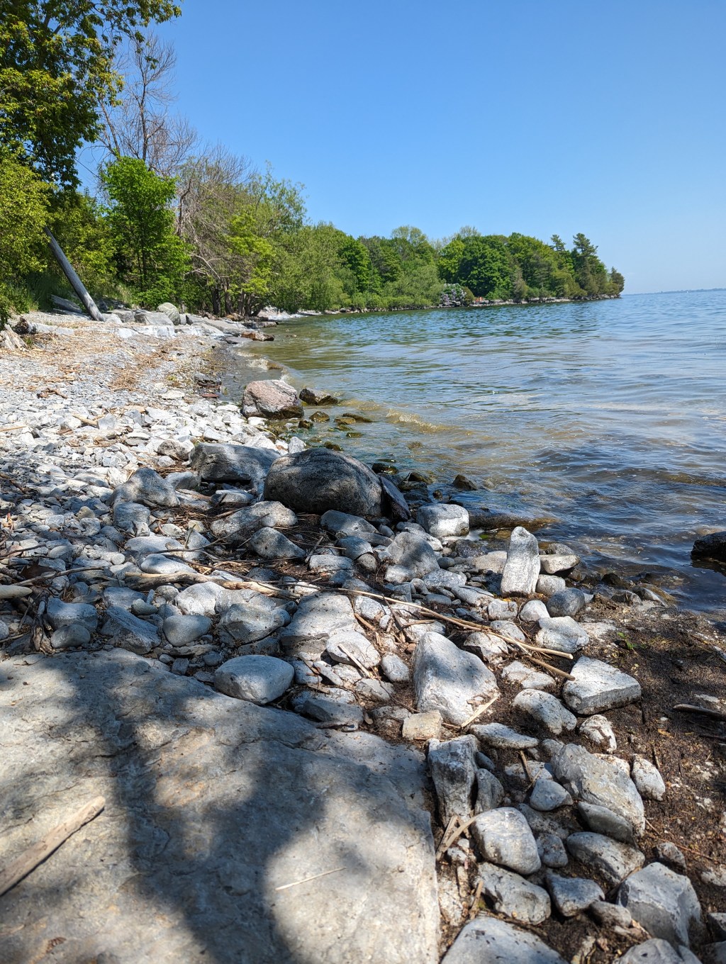 Oat Loaf and Swim&nbsp;Lessons