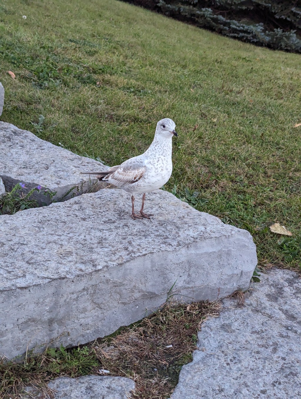 Long Weekends and&nbsp;Selfcare?