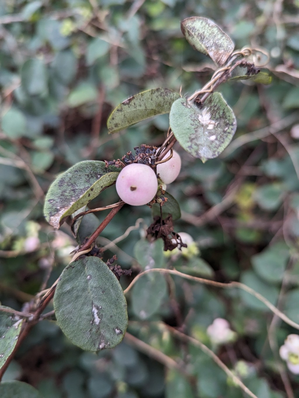 Around The World: October&nbsp;2023