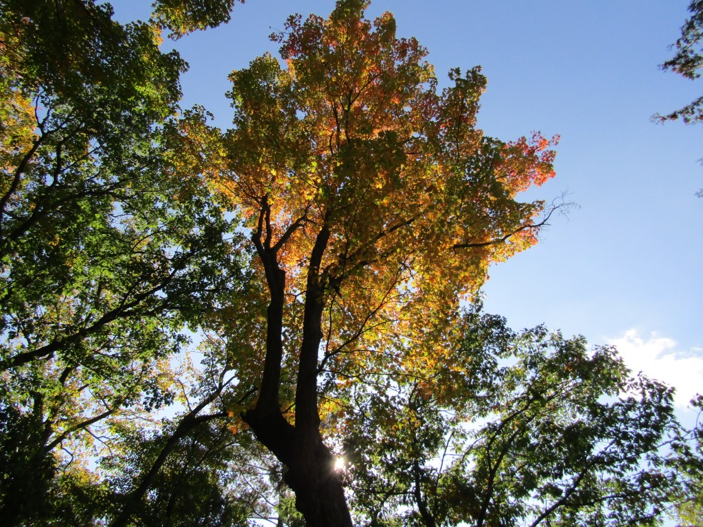 Random Thoughts Part ??