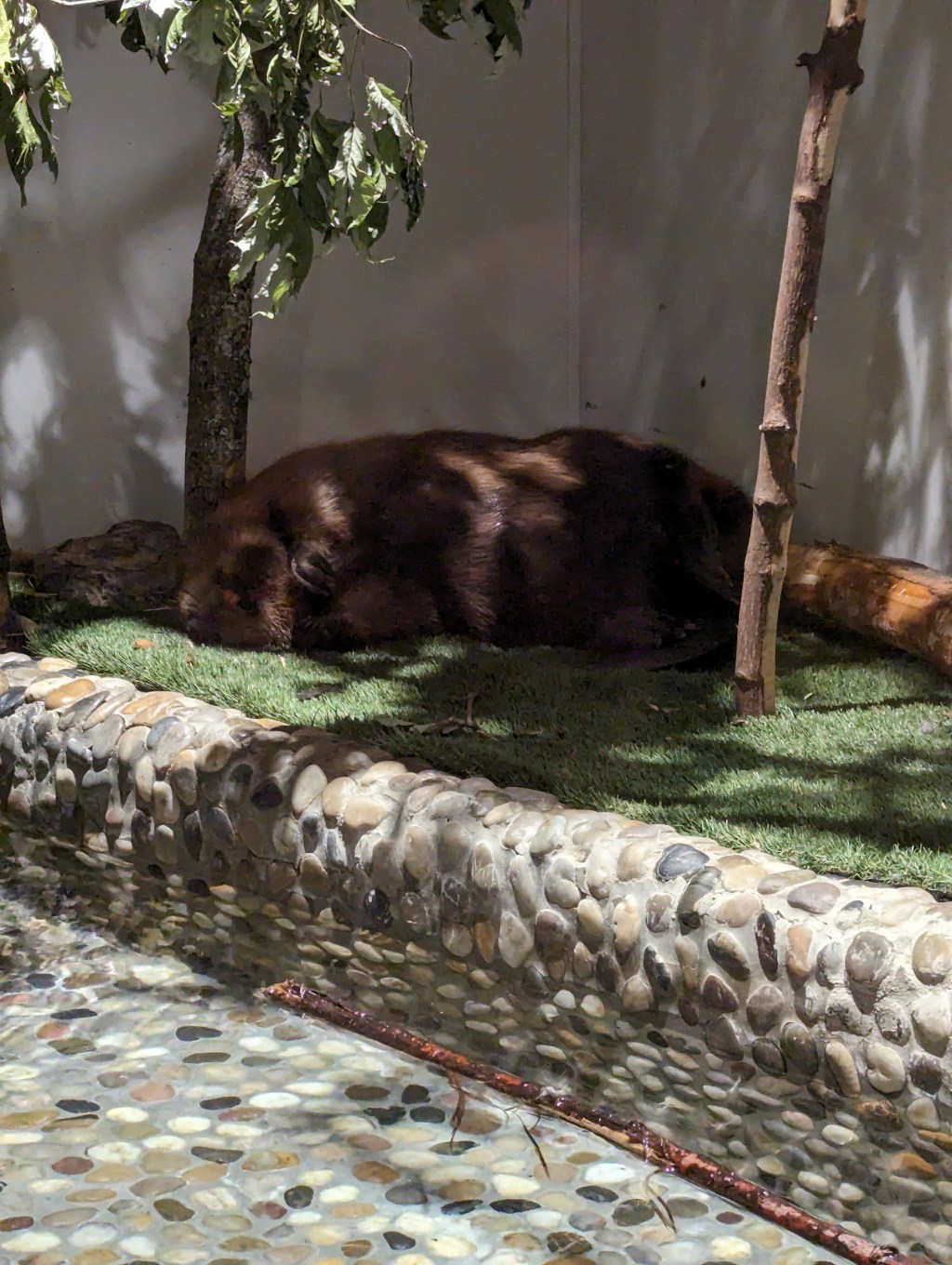 Aquatarium and Coffee&nbsp;Time