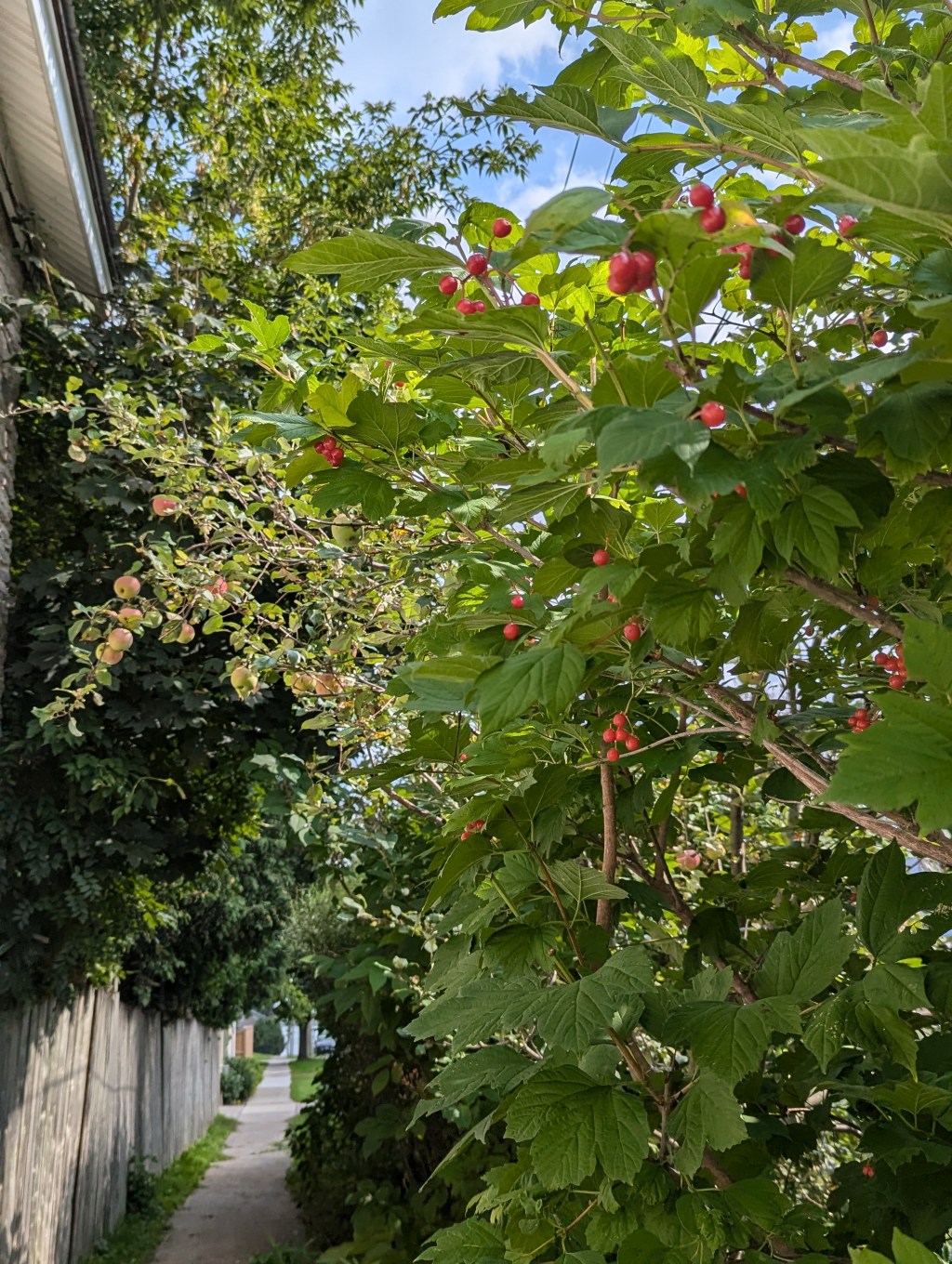 Strange Feelings and Calming&nbsp;Shenanigans