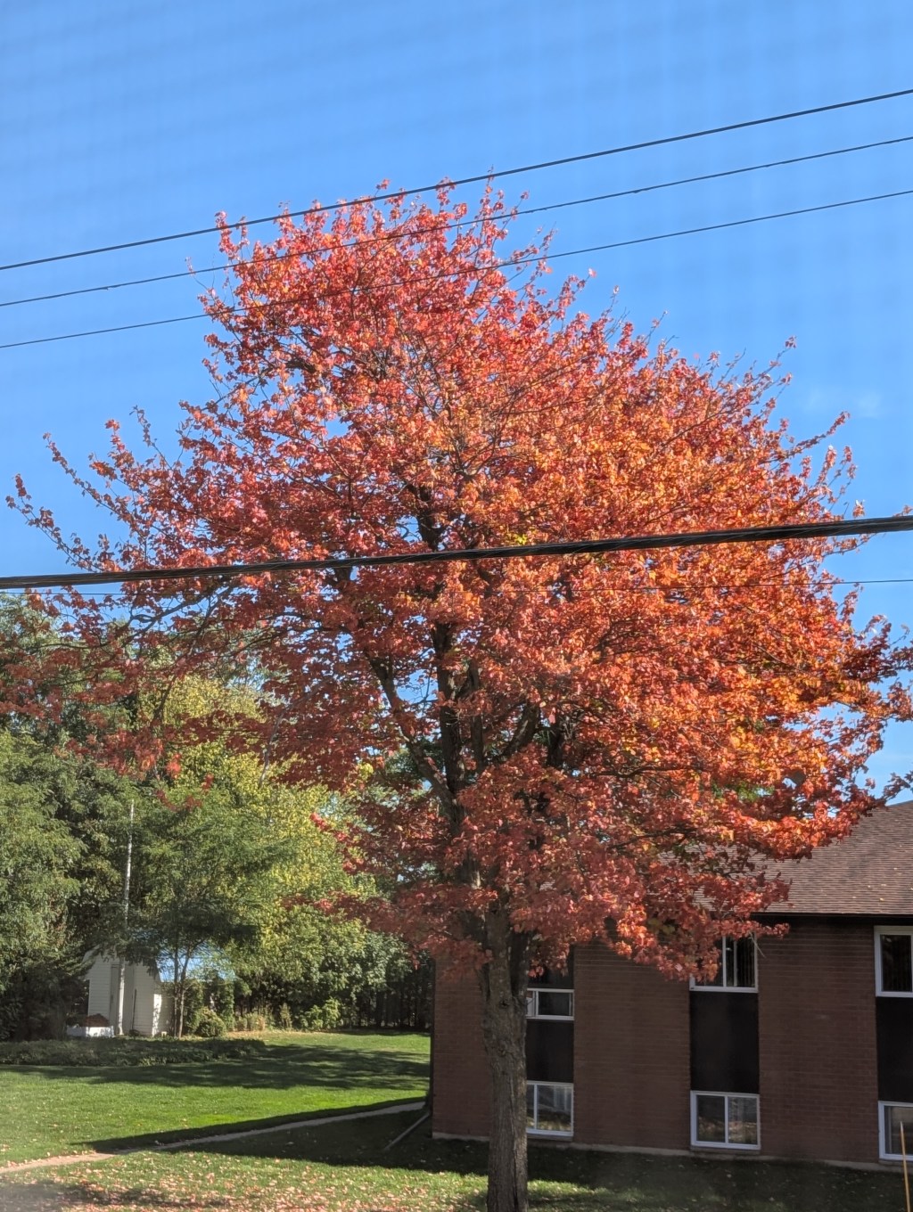 Life Changes and Lil&nbsp;Updates