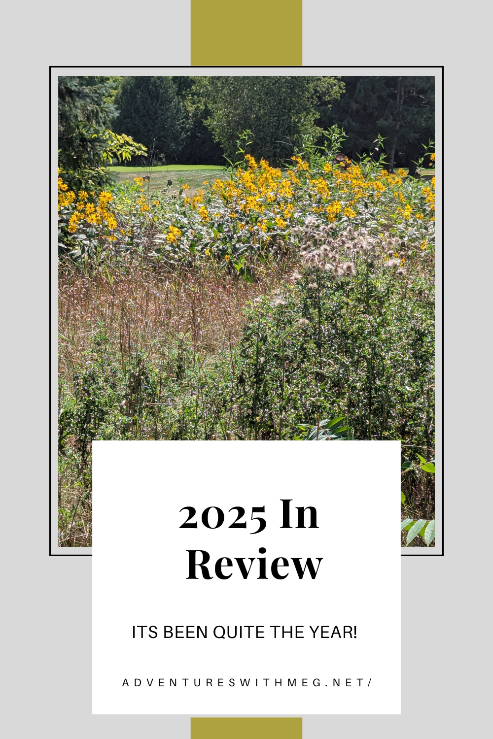 2025 In Review