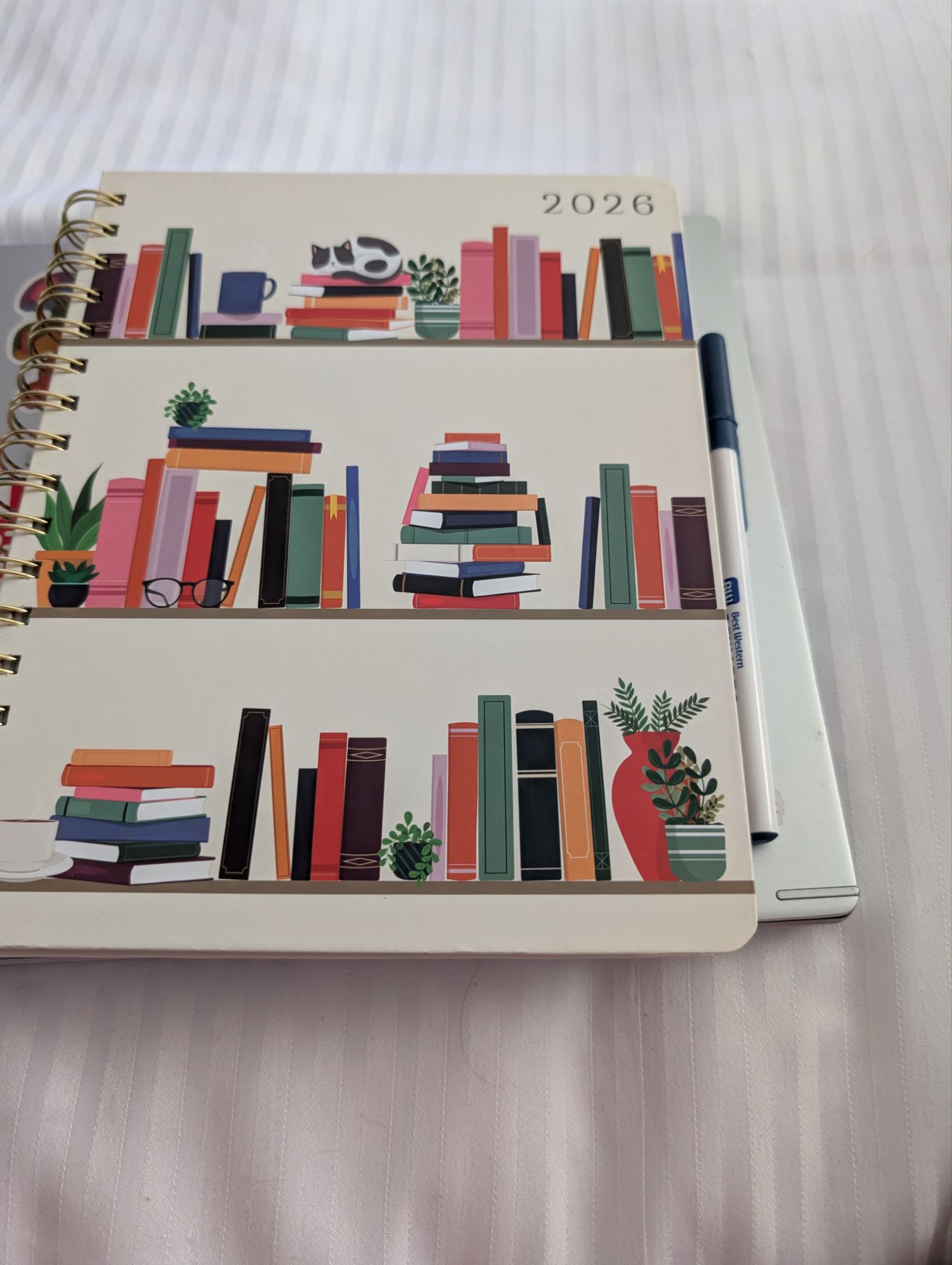 Library Sales and Other  Shenanigans