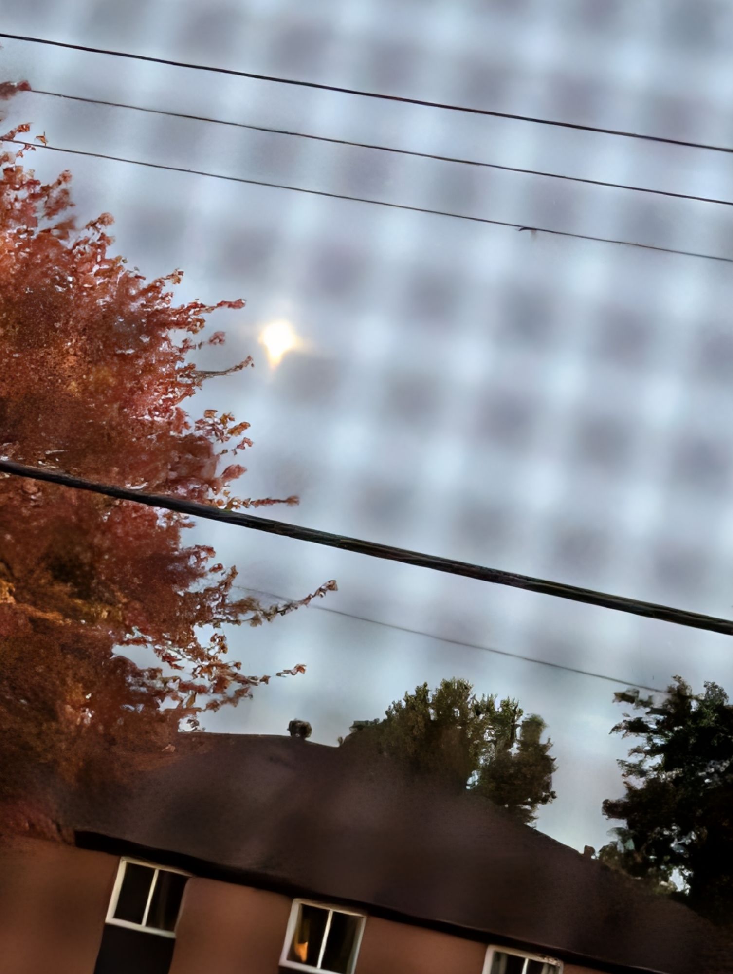 Autumnal Mornings